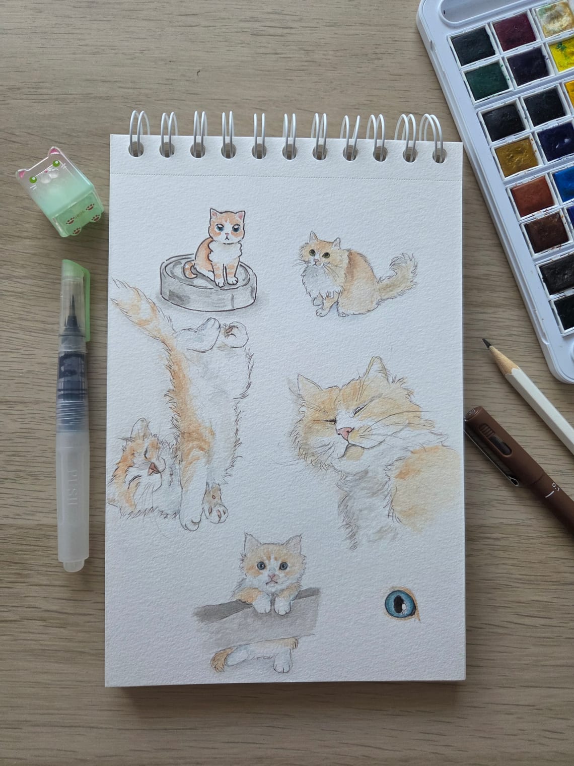 Kitties study