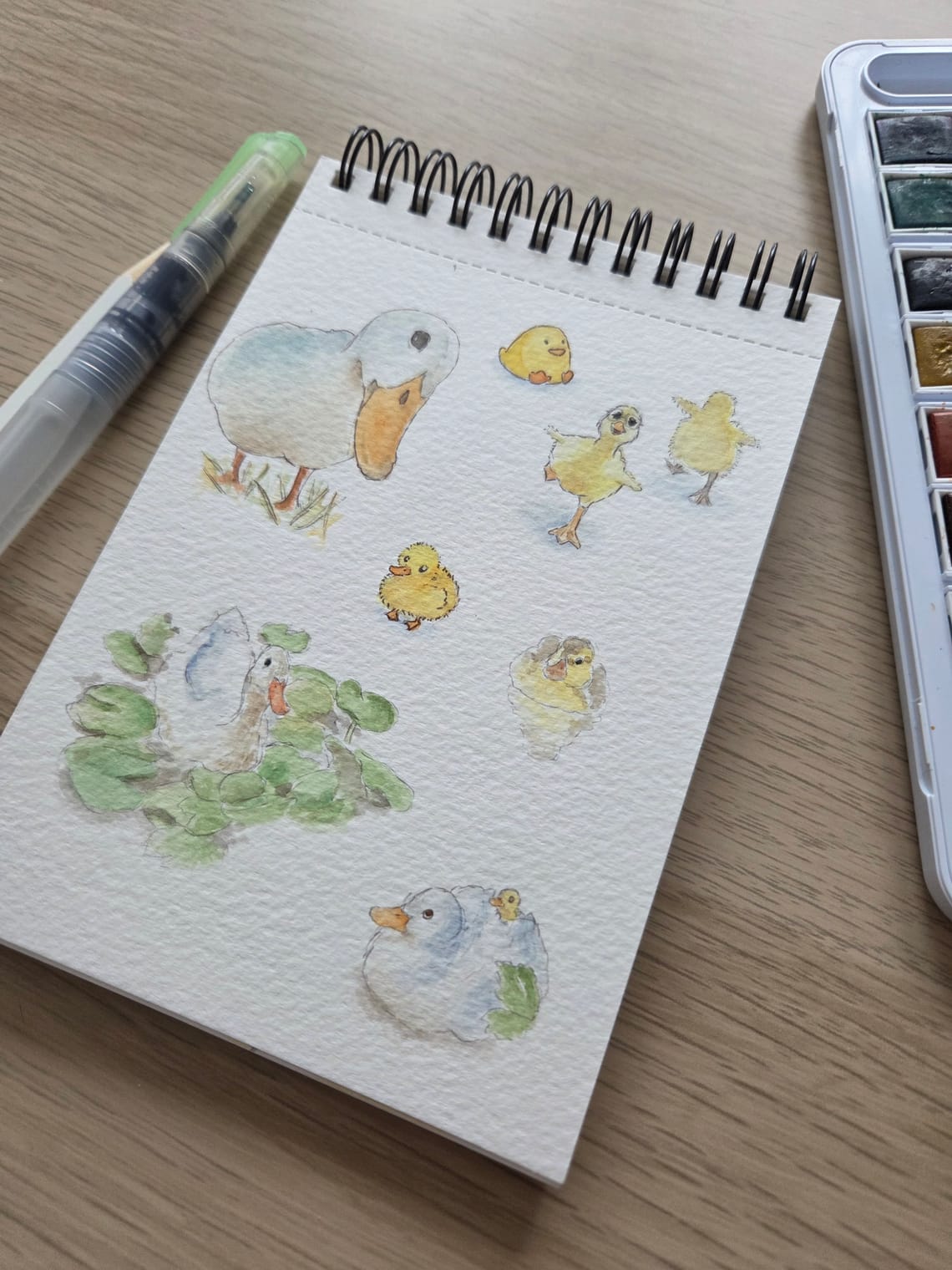 Animal studies