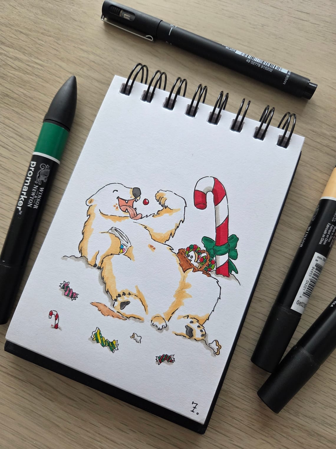 Animal advent calendar 2025
