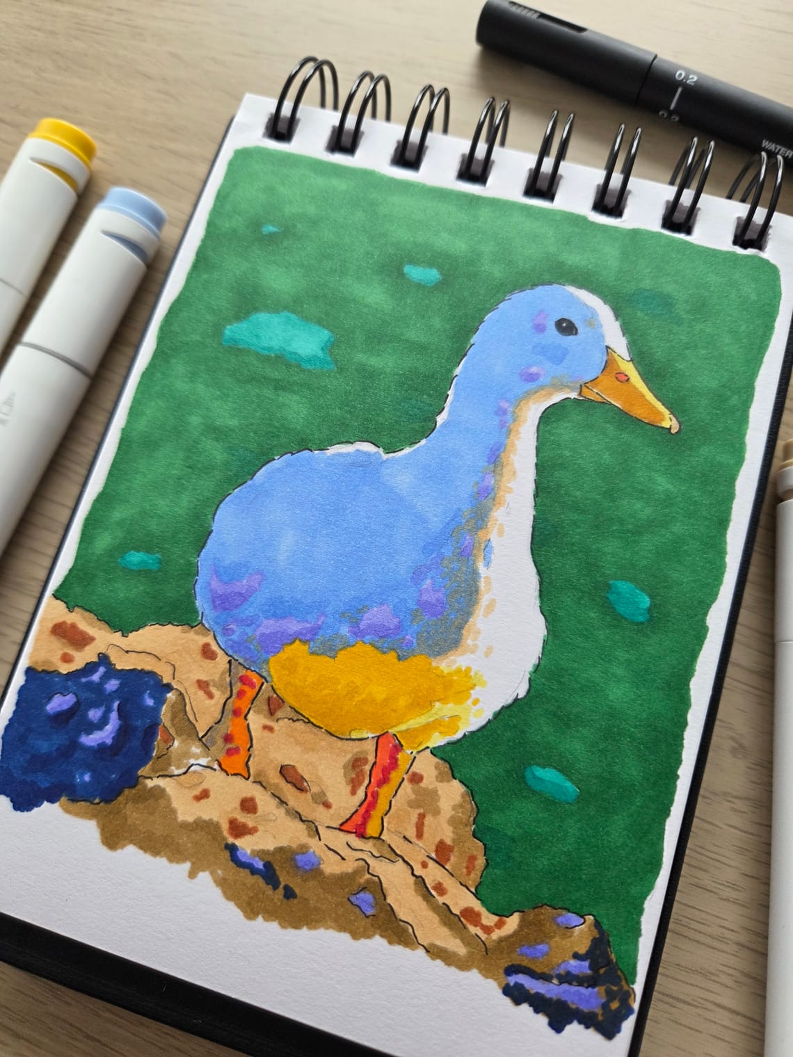 Ducks ducks ducks