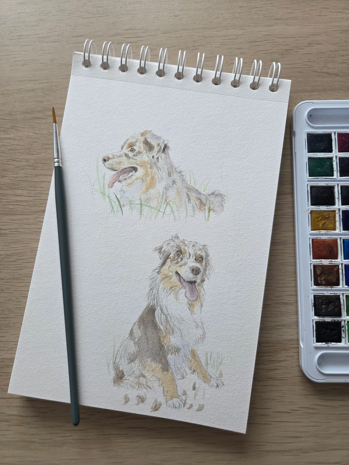 Dogs (and a chick)