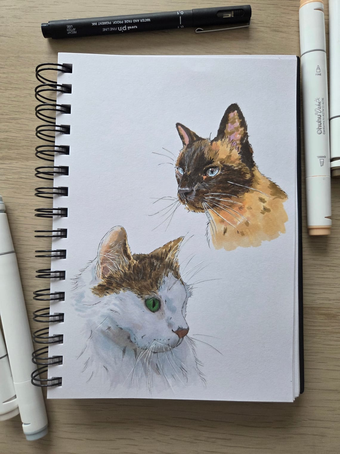 Feline & Kitty