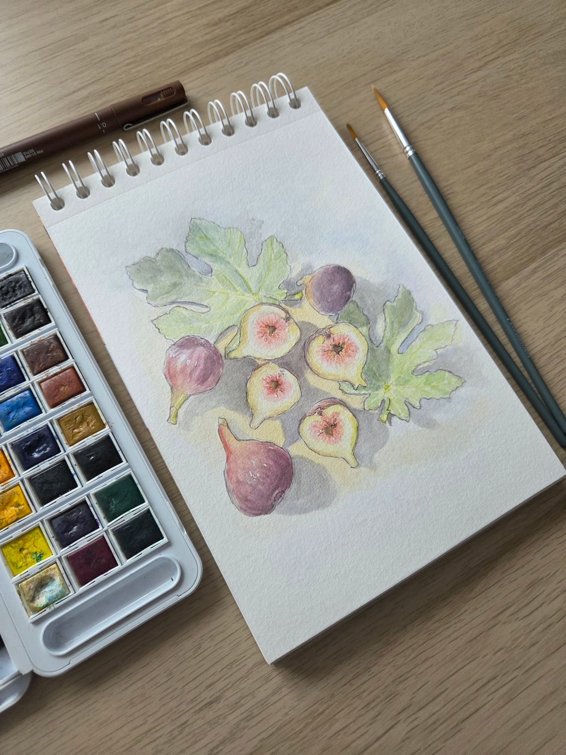 Figs & leaves
