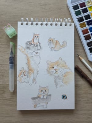 Kitties study