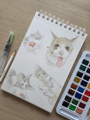 Kitty once again
