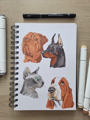 Dogs and cat