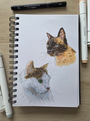 Feline & Kitty